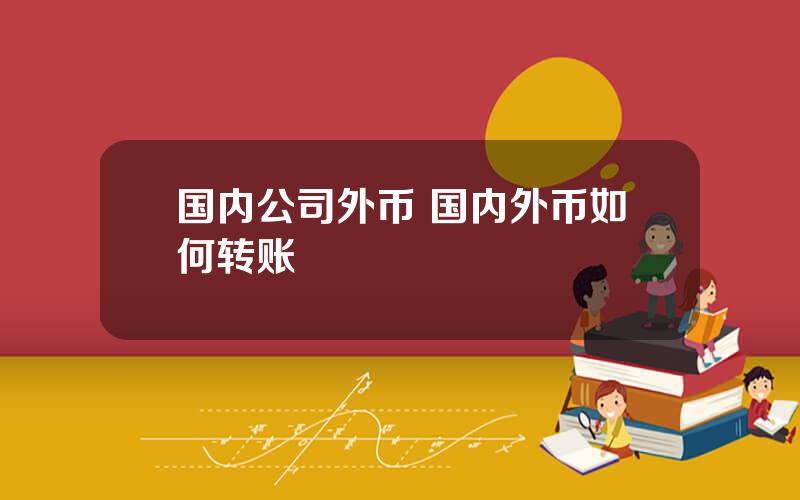 国内公司外币 国内外币如何转账